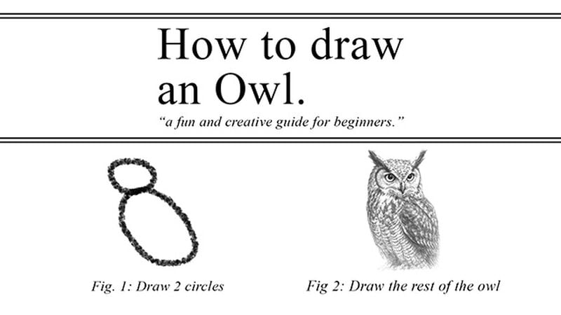 The Rest Of The Owl